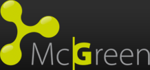 Primary Raster logo